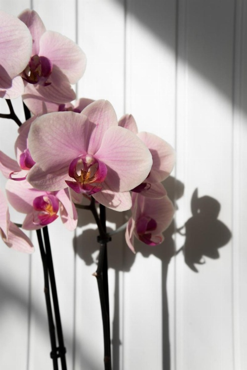 Hotel Faber image 20